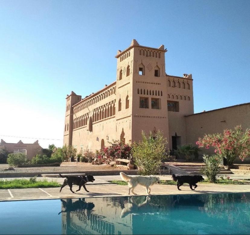 Auberge Famille Benmoro Skoura Buitenkant foto